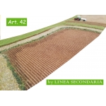Campo arato